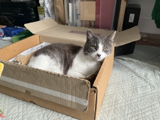 �z�c�ɗ��Ă���