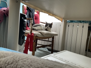 ����Ɉ֎q�ֈړ�