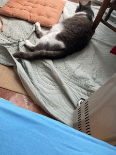 ���֐�Ɉړ�