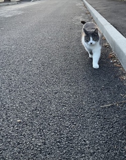 �����͂����Ƌt����