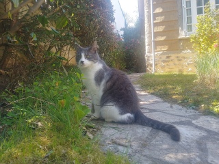 ��ŗV�т܂��@��