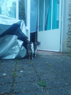 �ڂ񂻂�[�̎��Ԃł�