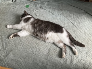 4��15��(��) �L�єL�����