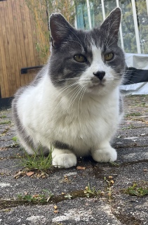 �����Q���Ă�����H