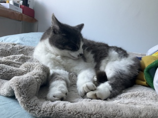 �����났