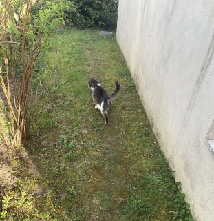 4��16��(��) �������܁[