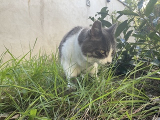 ��؂��H�ׂĂ�