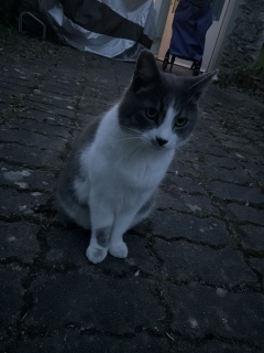 ���ŊJ����