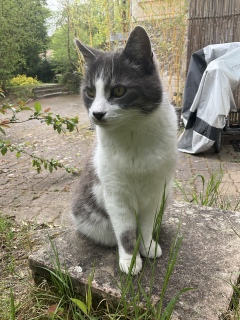 4��17��(��) �����