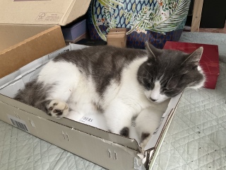 �������͂ݏo�����j