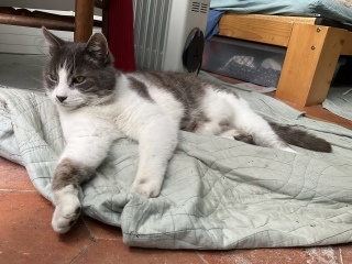 4��18��(�y) ���o�������ł���