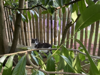 �����傳�񃀃b�V���ɂ�������