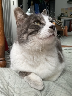 �E������傢