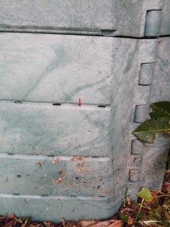 �L���鍑�����łɂ��邽�߂�?