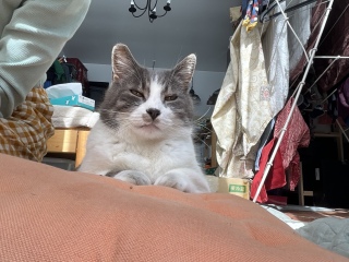 4��19��(��) ����Ԃł�