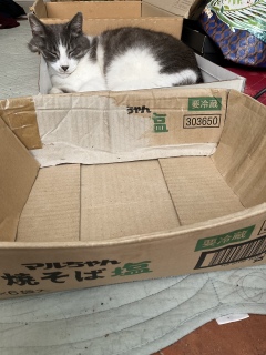 �Ă��΂�肨�����m�i�X�H