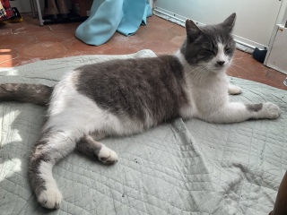 4��20��(��) ��������Ⴂ