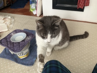 ���肿����