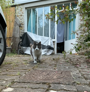 �����ۂ͗Y��