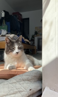 4��21��(��) �����������˂�