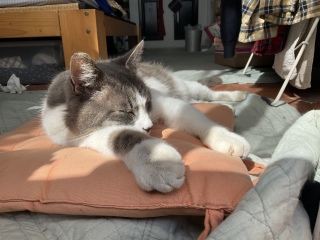 ���J���I��