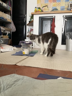 �L�����������͂�