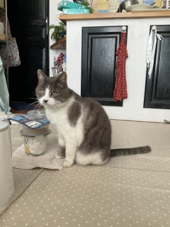 4��22��(��) ������1����̏o��