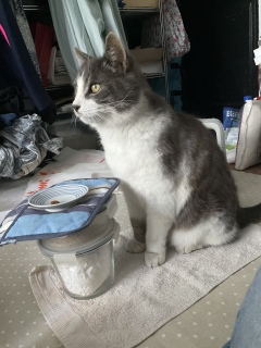 �a�������D�݁H