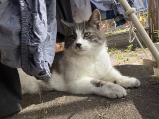 4��23��(��) �C��ɍ������Q�ꏊ