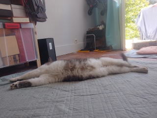 �T�����́c