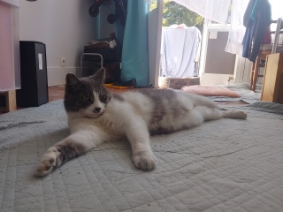 �����҂ł�