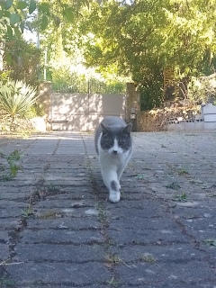 �[����6���ł�