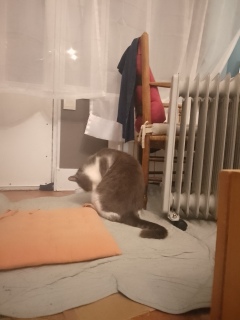 ������΂�