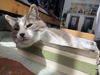 ��������d�������H