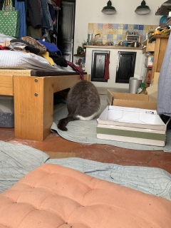 �������ˁ[�����^���ʂ������ł�