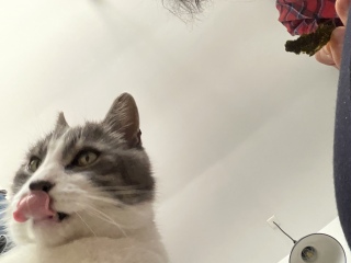 ����ɊC�ۂ�