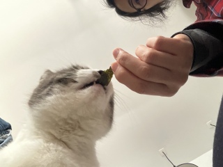 �p���p�����V�����V��