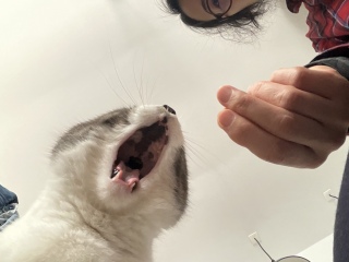 �C�ېH�ׂ�Ƃ����т��悭�o�܂�