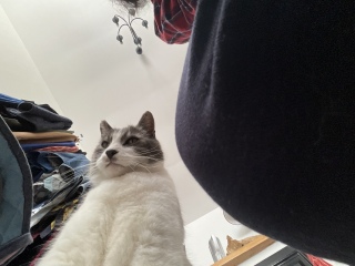 �ˁ[���̊���̐���