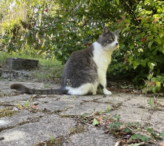 �����Q���Ă����񂩂�