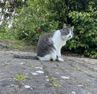 ���̖��邳��19����