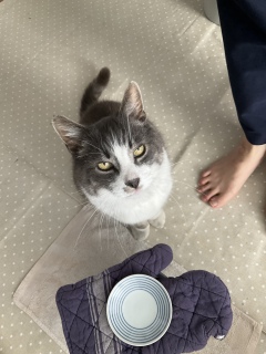 4��25��(�y) �ˁ[���̏o�Ύ��Ԓm���Ƃ��