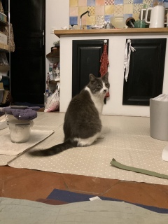 ������肪�Ƃ�