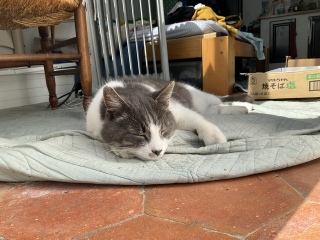 4��26��(��) �������C���H