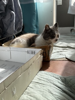 �����͏Ă��Ή��𖡂킢����