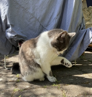 ������ꒆ