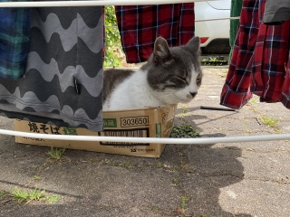 4��27��(��) �t�̂��C�ɓ���̏ꏊ