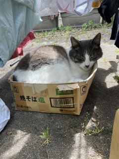 �ˁ[����蓭���҂ł�