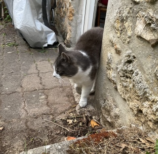 ���肷���