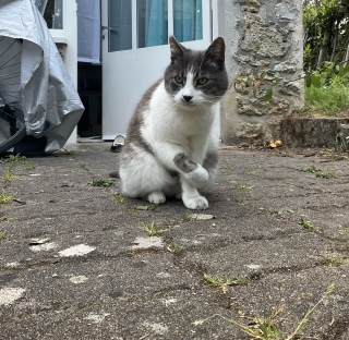 �s�v�c��킠